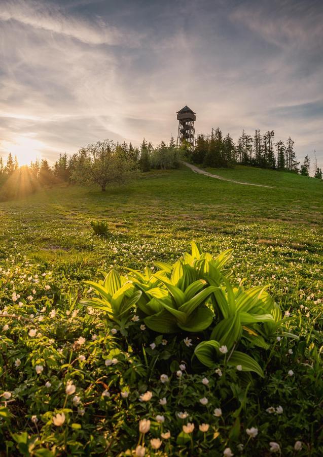 Domki U Adasia Krosnica  Exterior foto